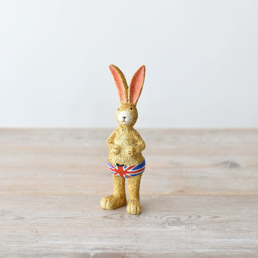 Jasper Rabbit - Swimming Trunks image 0