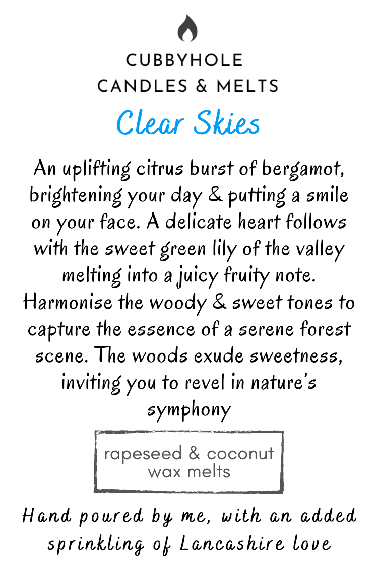 Clear Skies Natural Wax Melts image 0