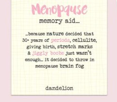 Magnetic Pad – Menopause memory aid image 1