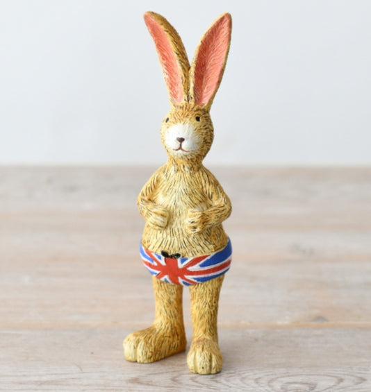 Jasper Rabbit - Swimming Trunks image 1