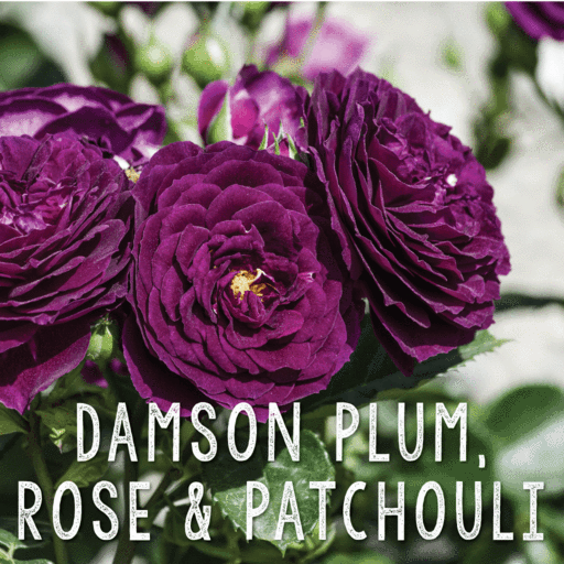 Damson Plum, Rose & Patchouli Natural Wax Melts image 4