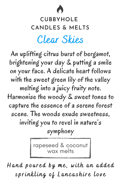 Clear Skies Natural Wax Melts image 0