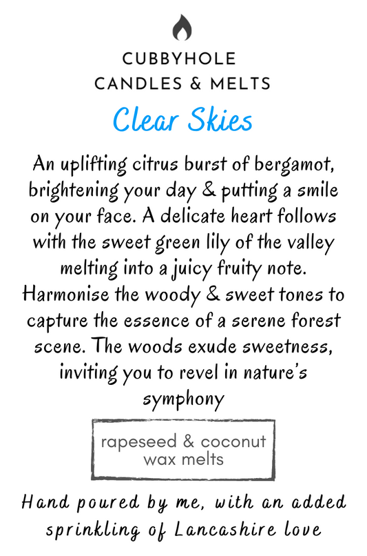 Clear Skies Natural Wax Melts image 0
