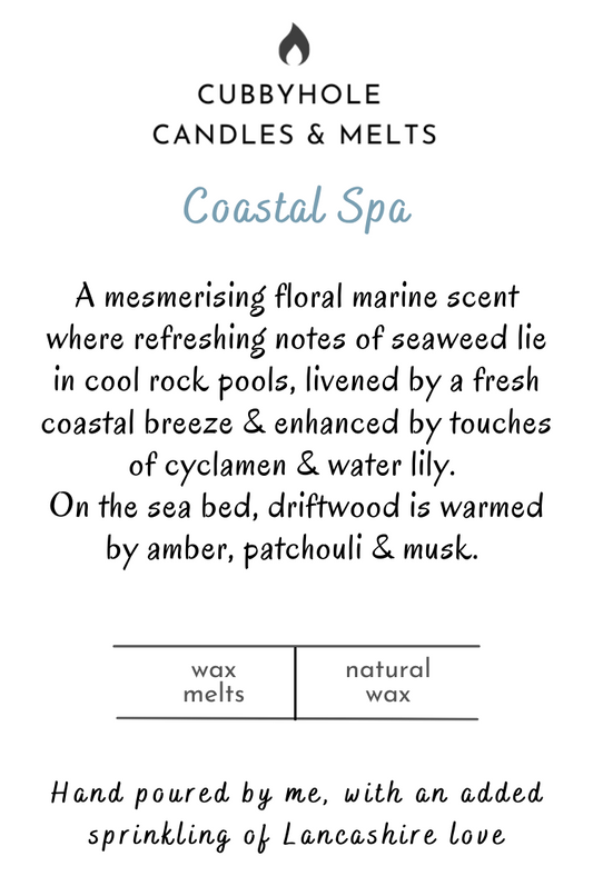 Coastal Spa Soy Wax Melts image 0